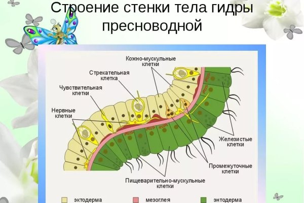 Кракен нар шоп