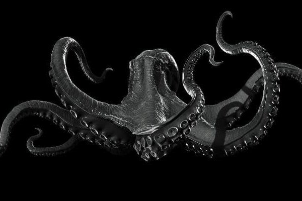 Kraken dark net