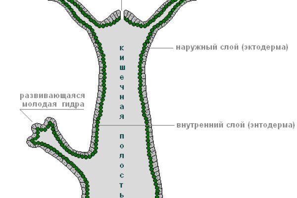 Кракен ссылка новая